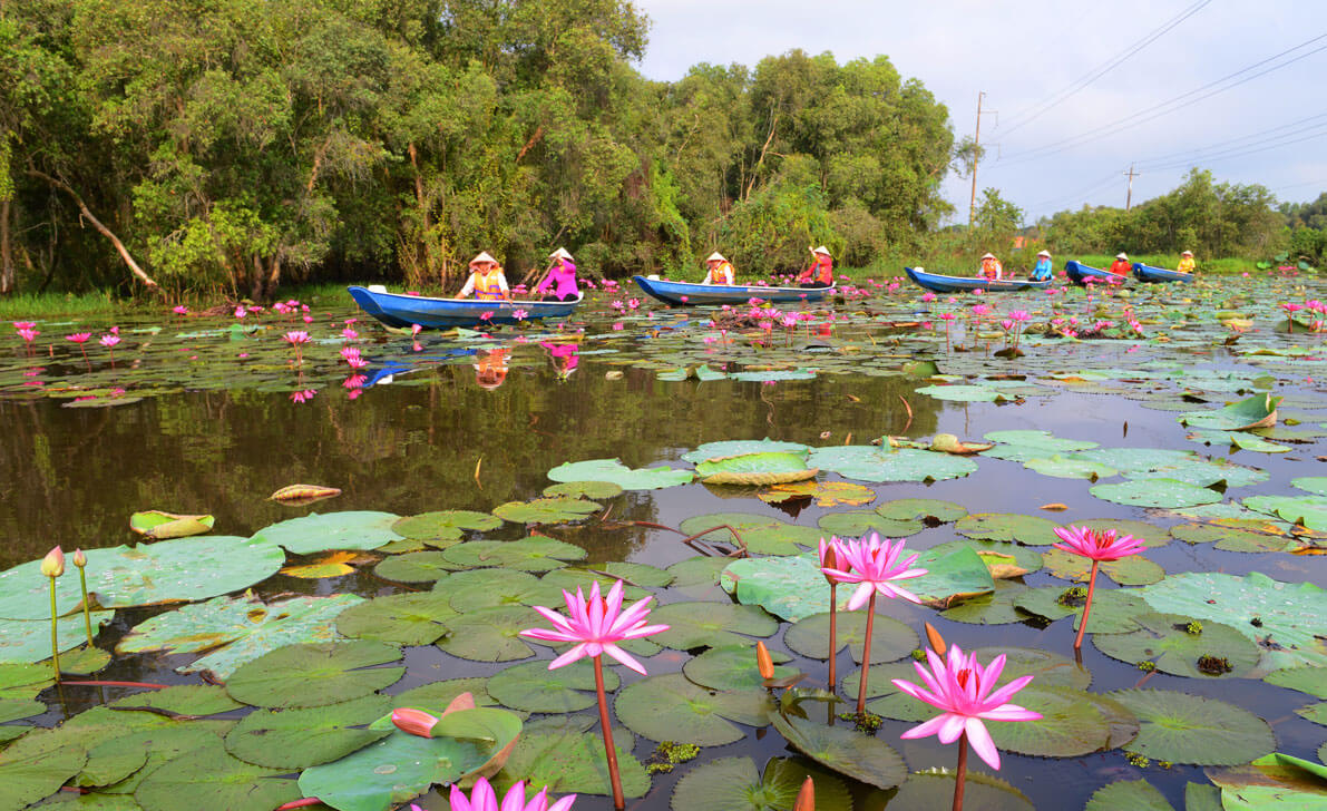 Làng nổi Tân Lập