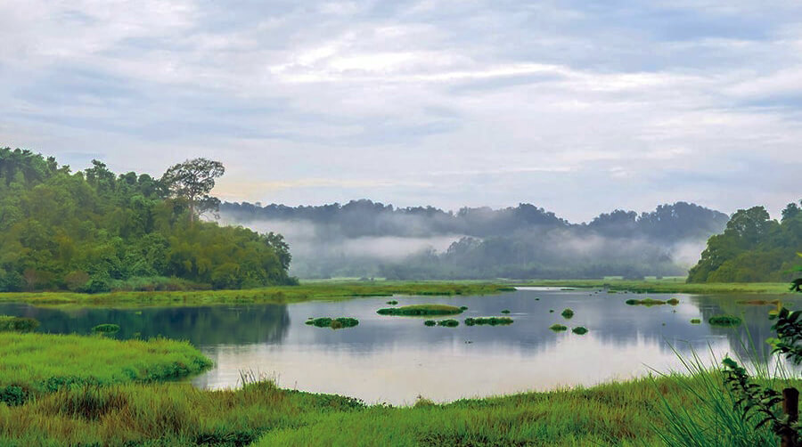 Rừng quốc gia Nam Cát Tiên